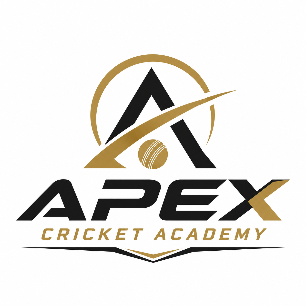 ApexcricketAcademy 